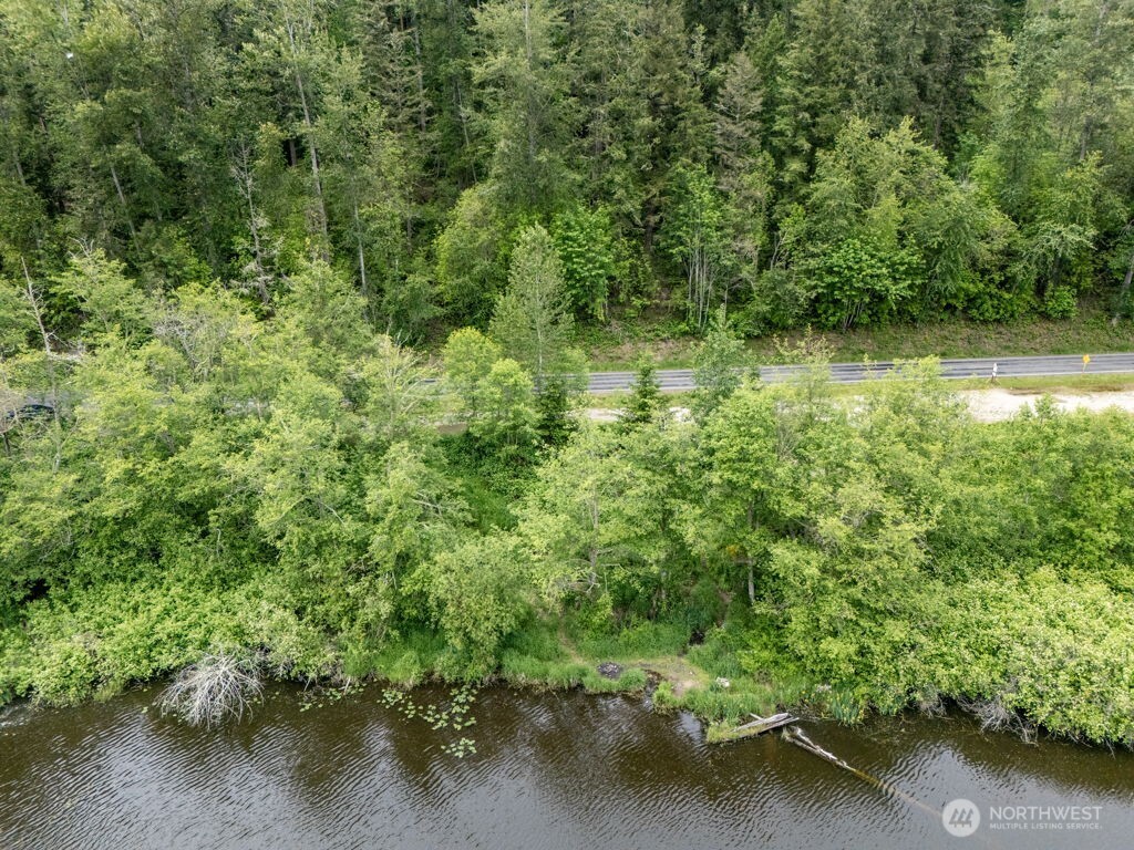 0 Lot 3&4 Orville Road E, Eatonville, WA 98328