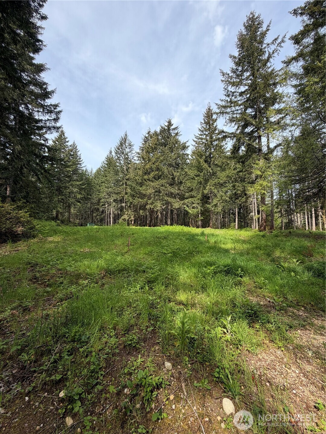 19205 30th Street SW, Lakebay, WA 98349