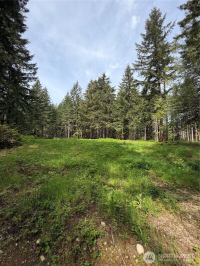 19205 30th Street SW, Lakebay, WA 98349 - Photo 11