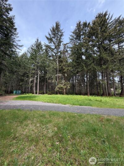 19205 30th Street SW, Lakebay, WA 98349 - Photo 5