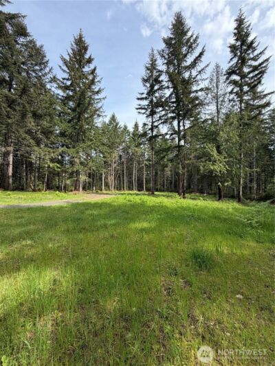 19205 30th Street SW, Lakebay, WA 98349 - Photo 6