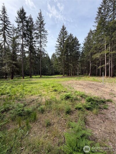 19205 30th Street SW, Lakebay, WA 98349 - Photo 8