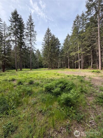 19205 30th Street SW, Lakebay, WA 98349 - Photo 10
