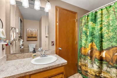 2538 157th Lane SW, Tenino, WA 98589 - Photo 12