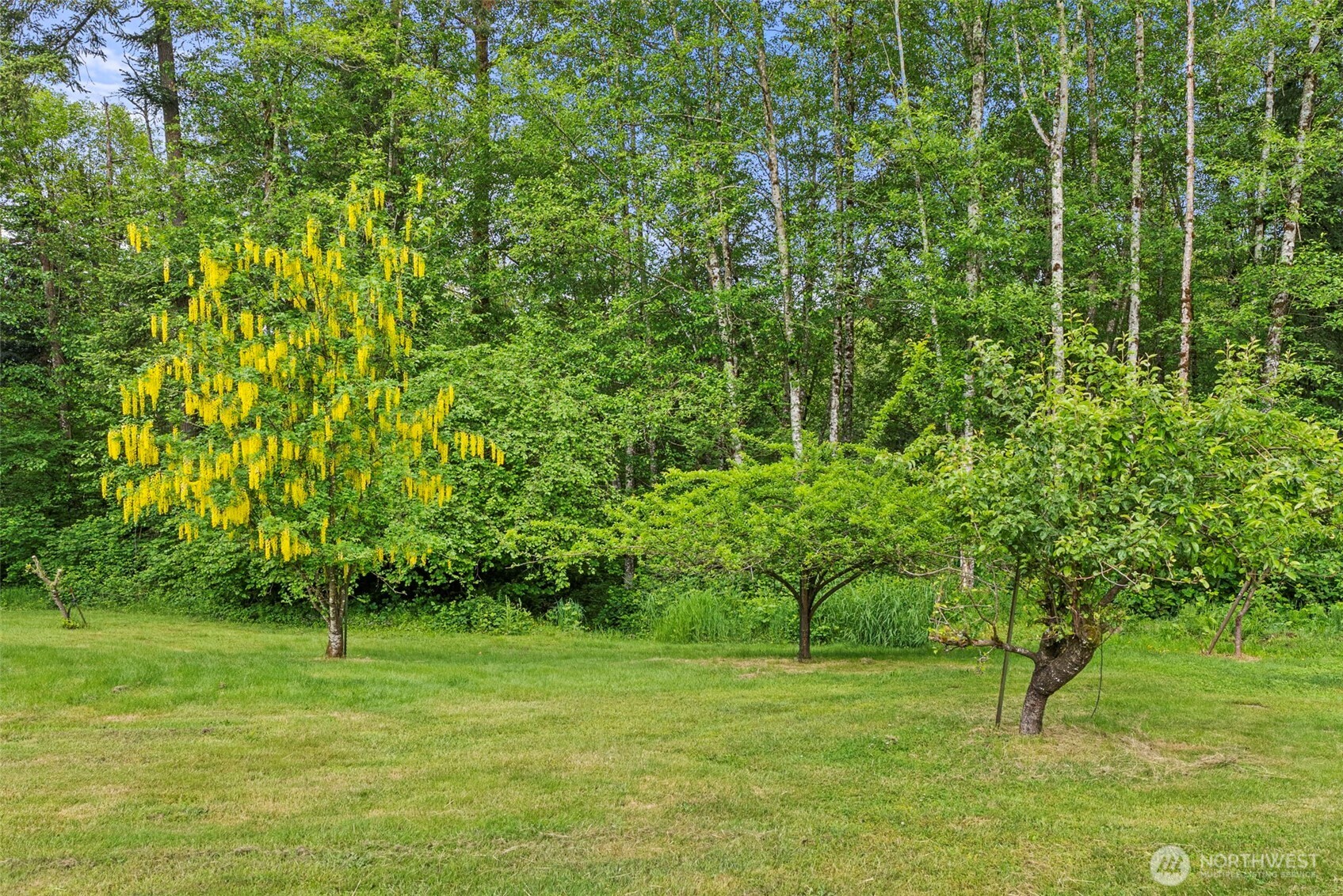 2538 157th Lane SW, Tenino, WA 98589
