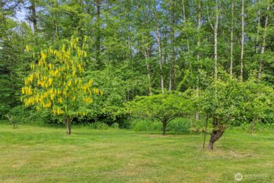 2538 157th Lane SW, Tenino, WA 98589 - Photo 19