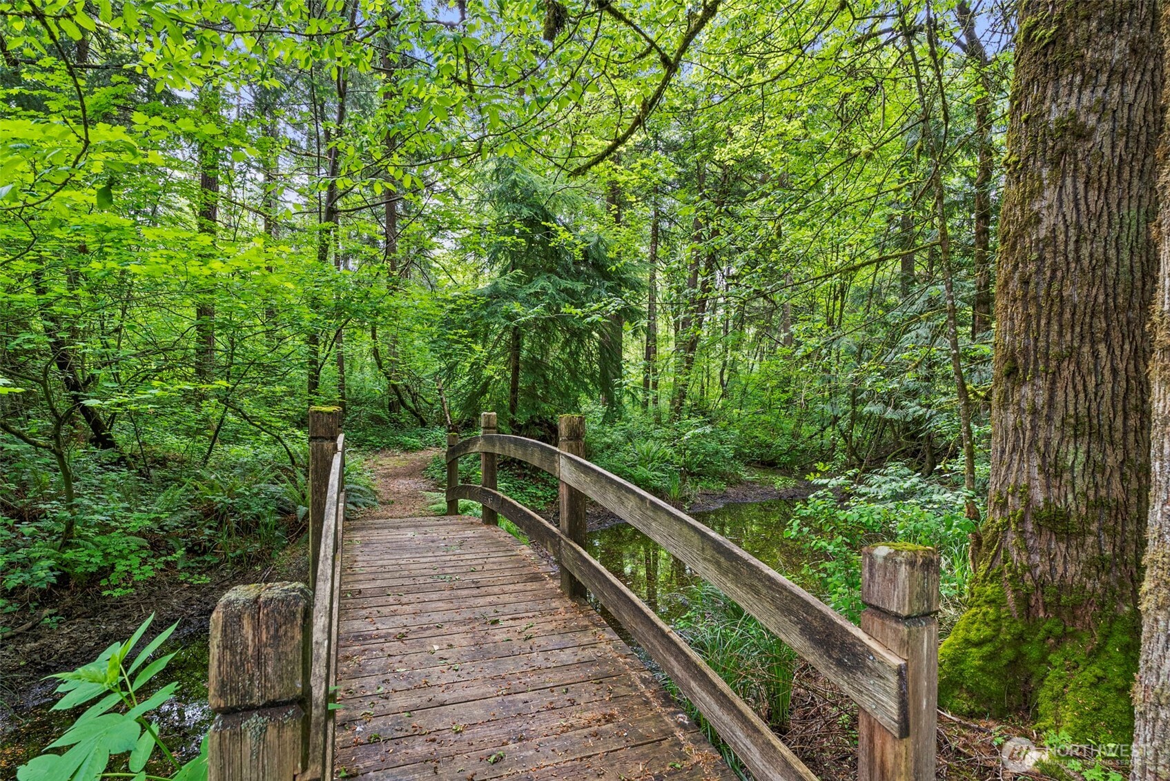 2538 157th Lane SW, Tenino, WA 98589