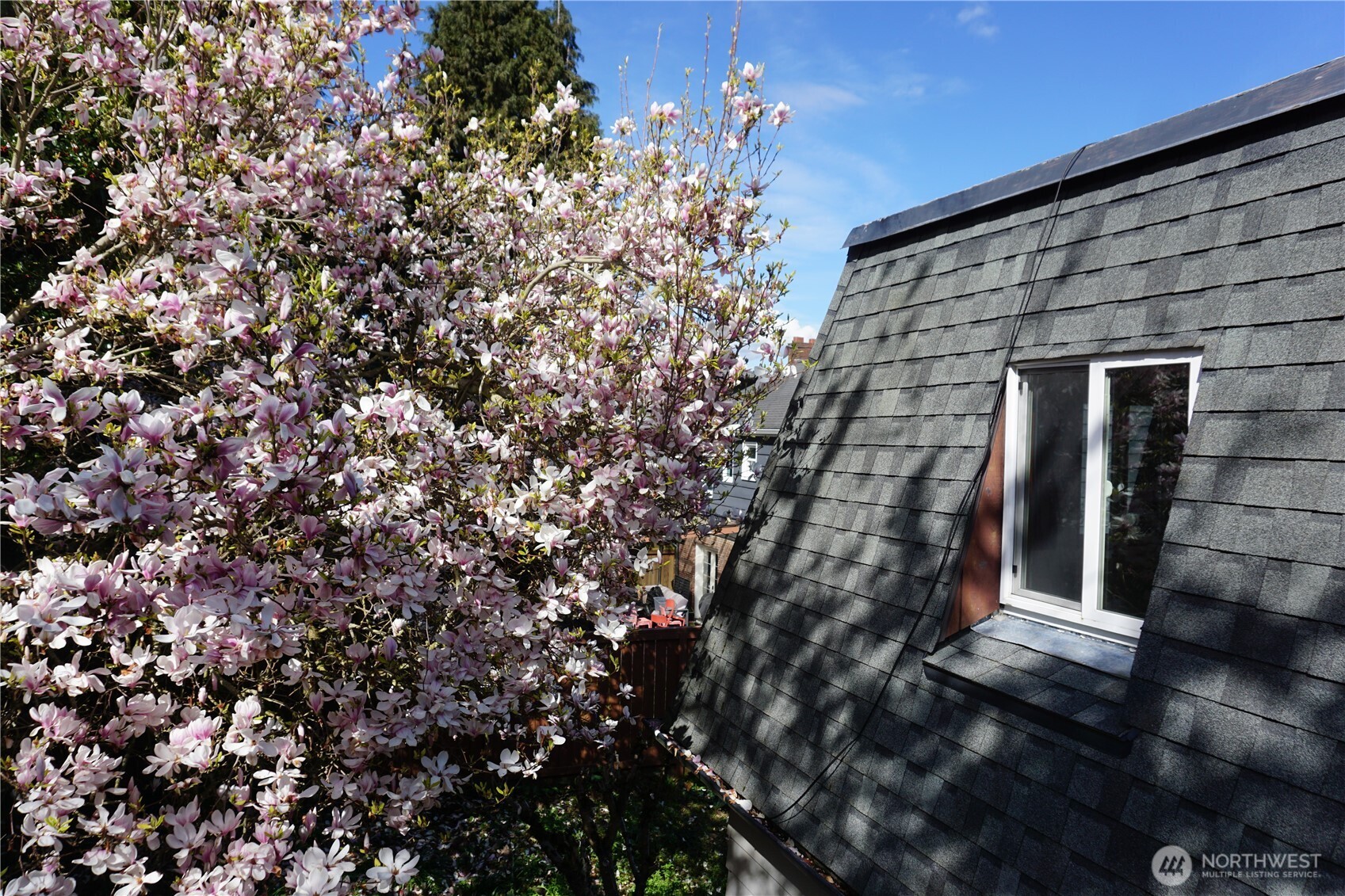 2727 36th Avenue SW, Seattle, WA 98126-2102