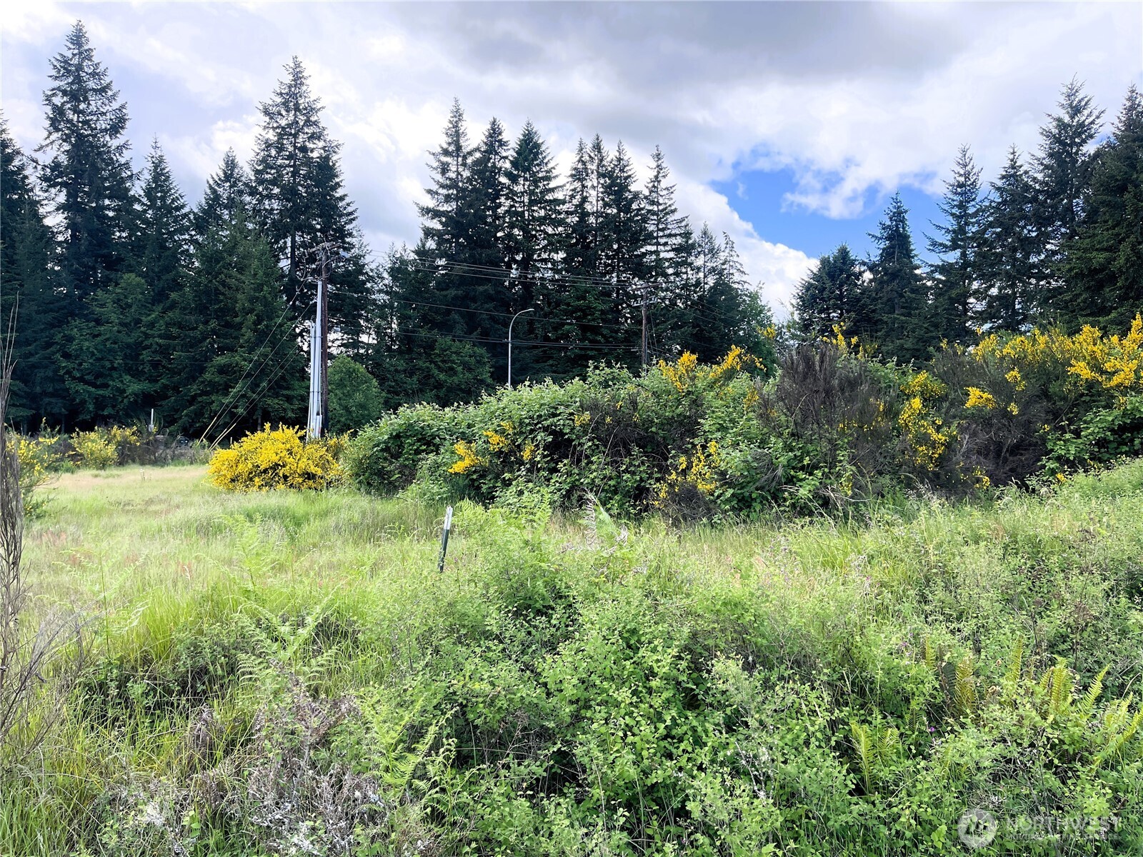 6501 Henderson Blvd SE , Tumwater, WA 98501