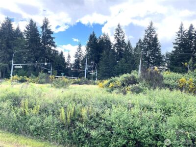 6501 Henderson Blvd SE , Tumwater, WA 98501 - Photo 12