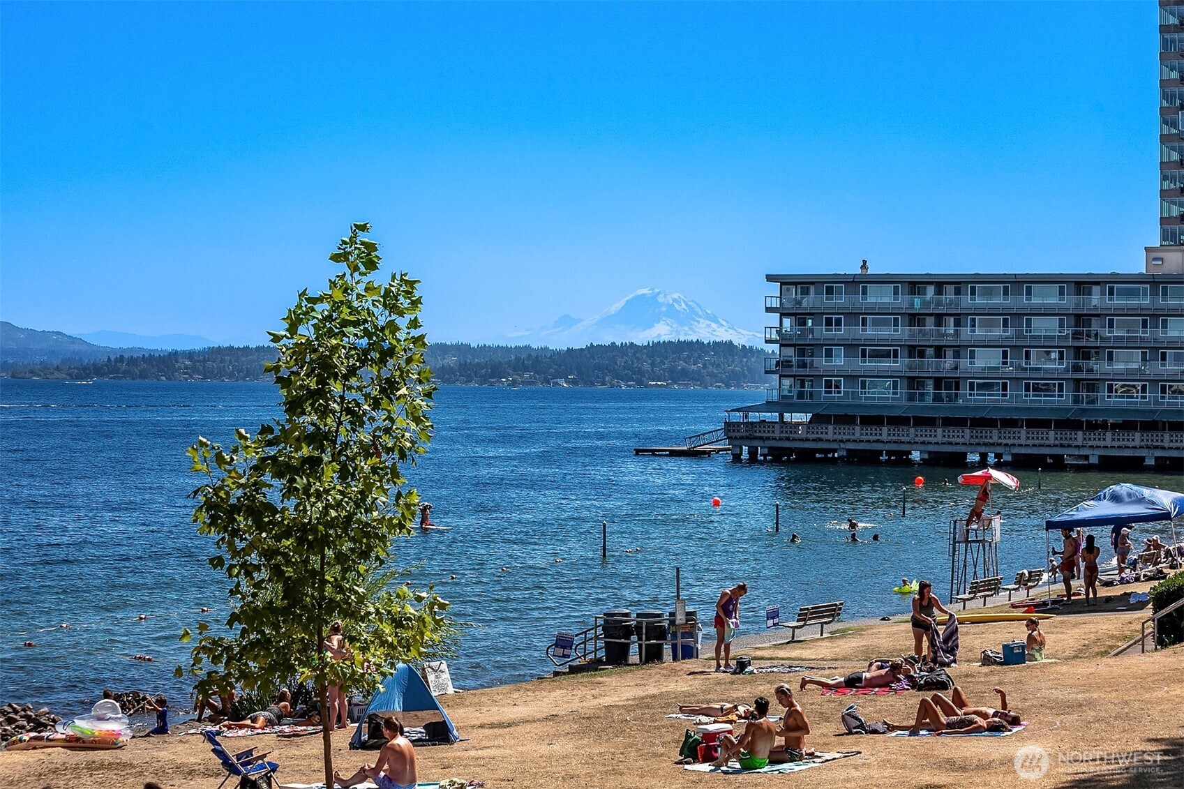 1810 43rd Avenue E #201, Seattle, WA 98112