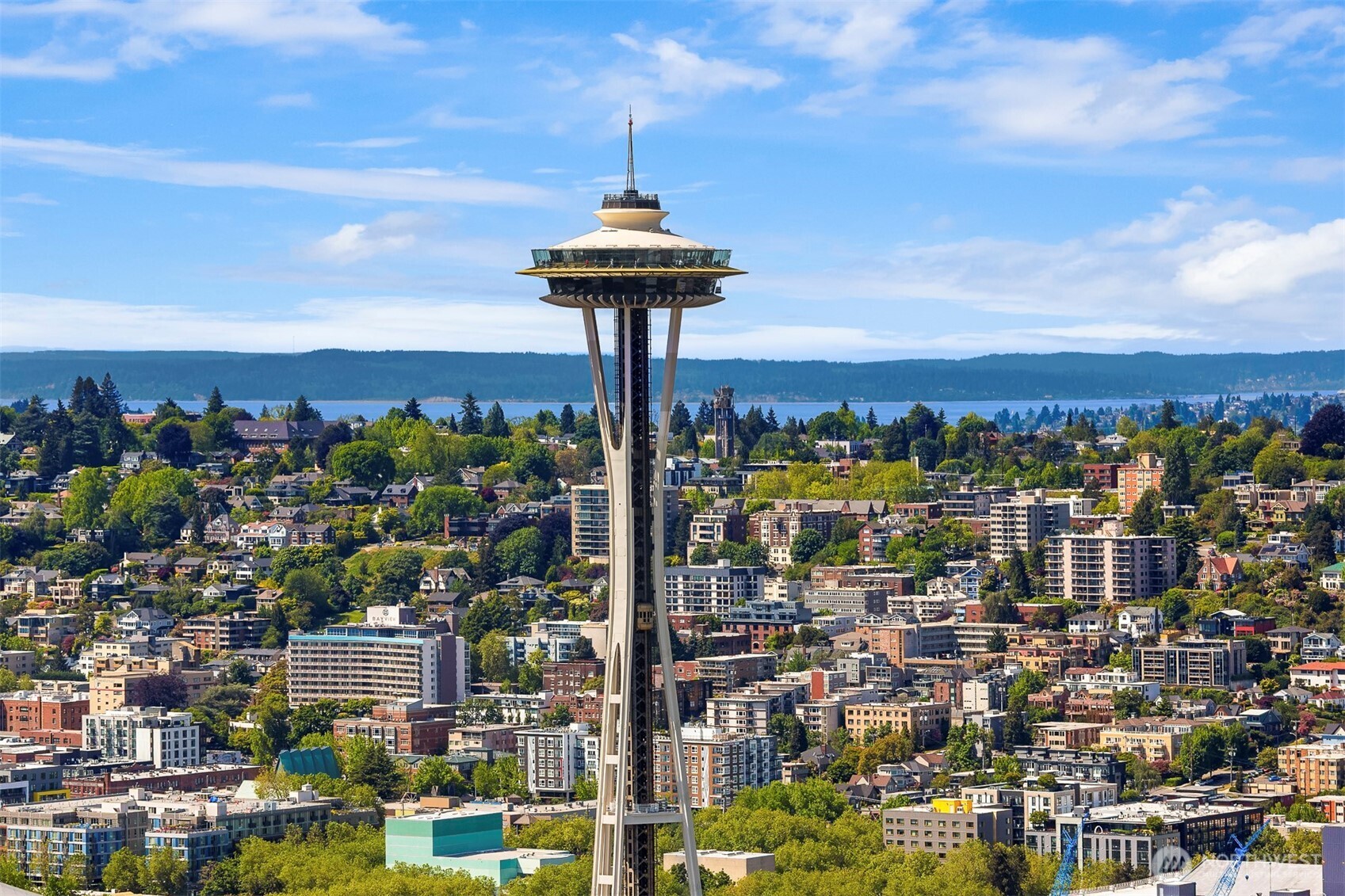300 Virginia Street #1113, Seattle, WA 98121