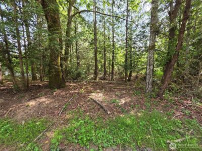 2340 Westwind Drive NW, Olympia, WA 98502 - Photo 3