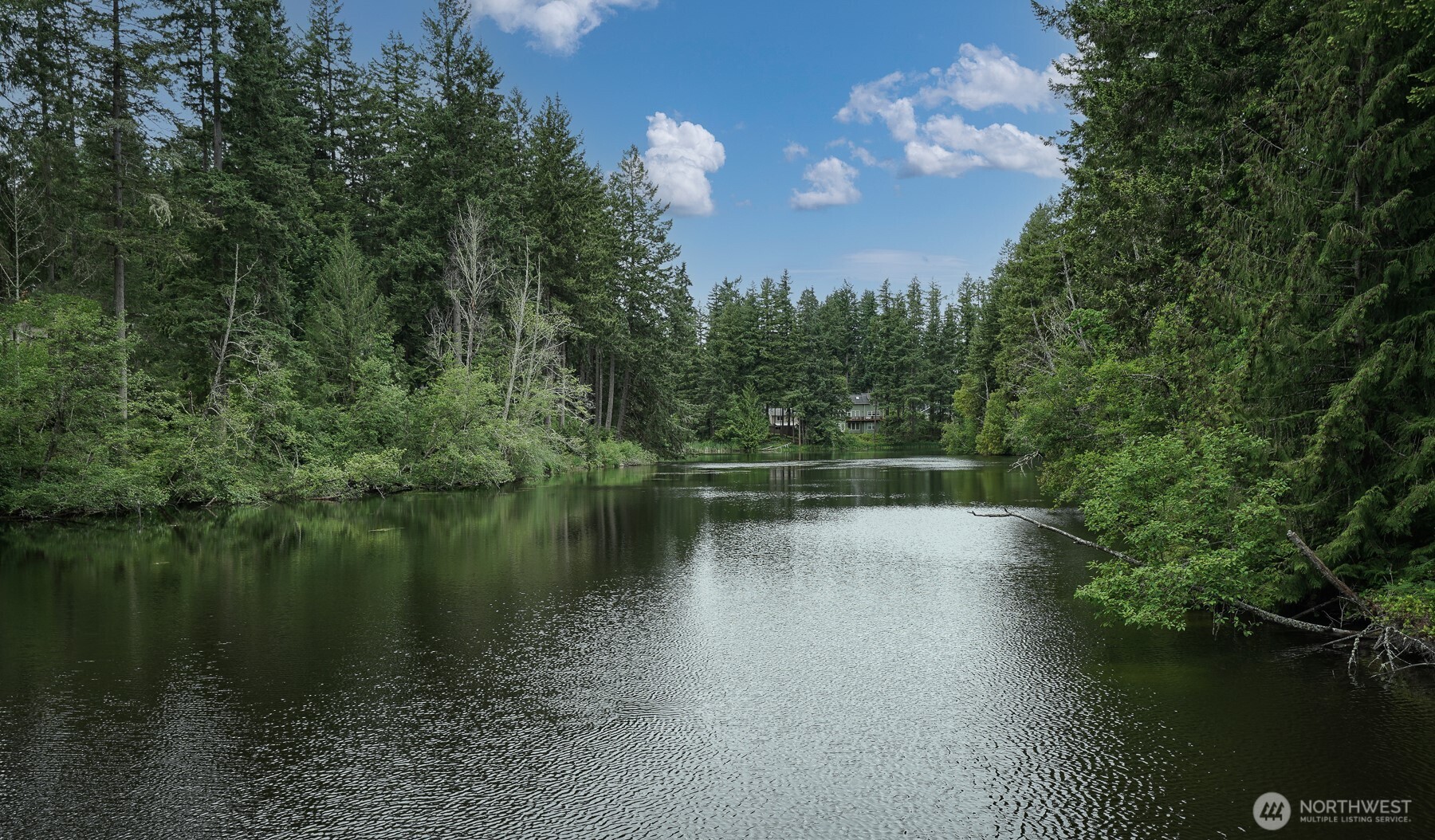 22231 Bluewater Drive SE, Yelm, WA 98597