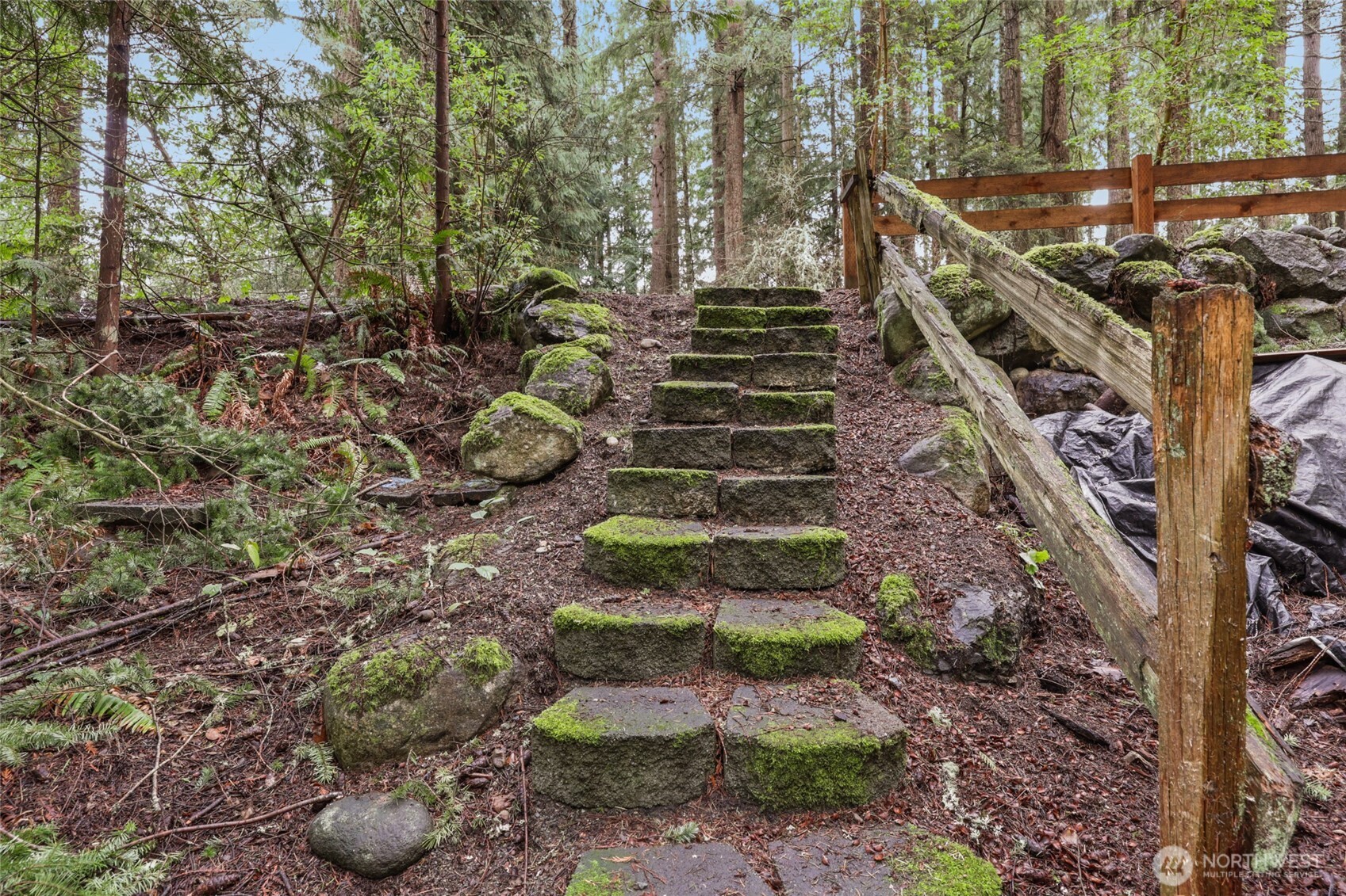 22231 Bluewater Drive SE, Yelm, WA 98597