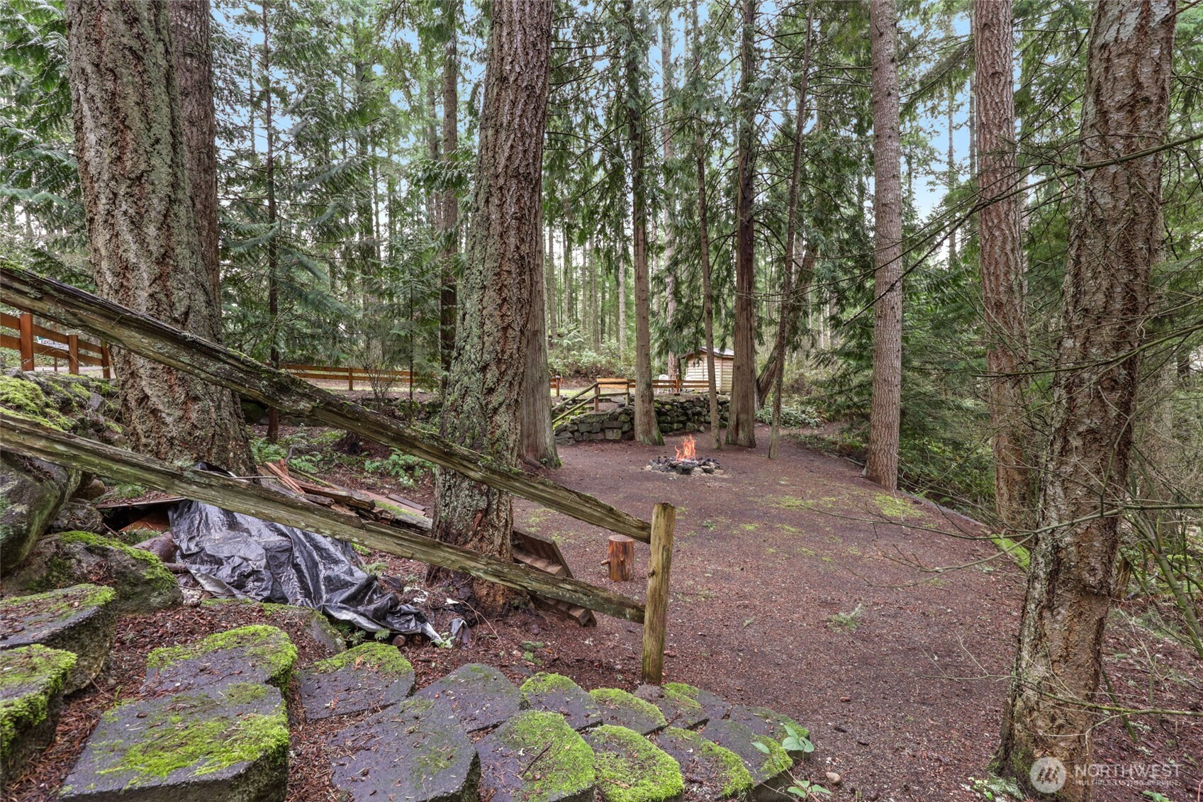 22231 Bluewater Drive SE, Yelm, WA 98597