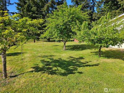 17103 Camas Run Lane SW, Rochester, WA 98579 - Photo 29