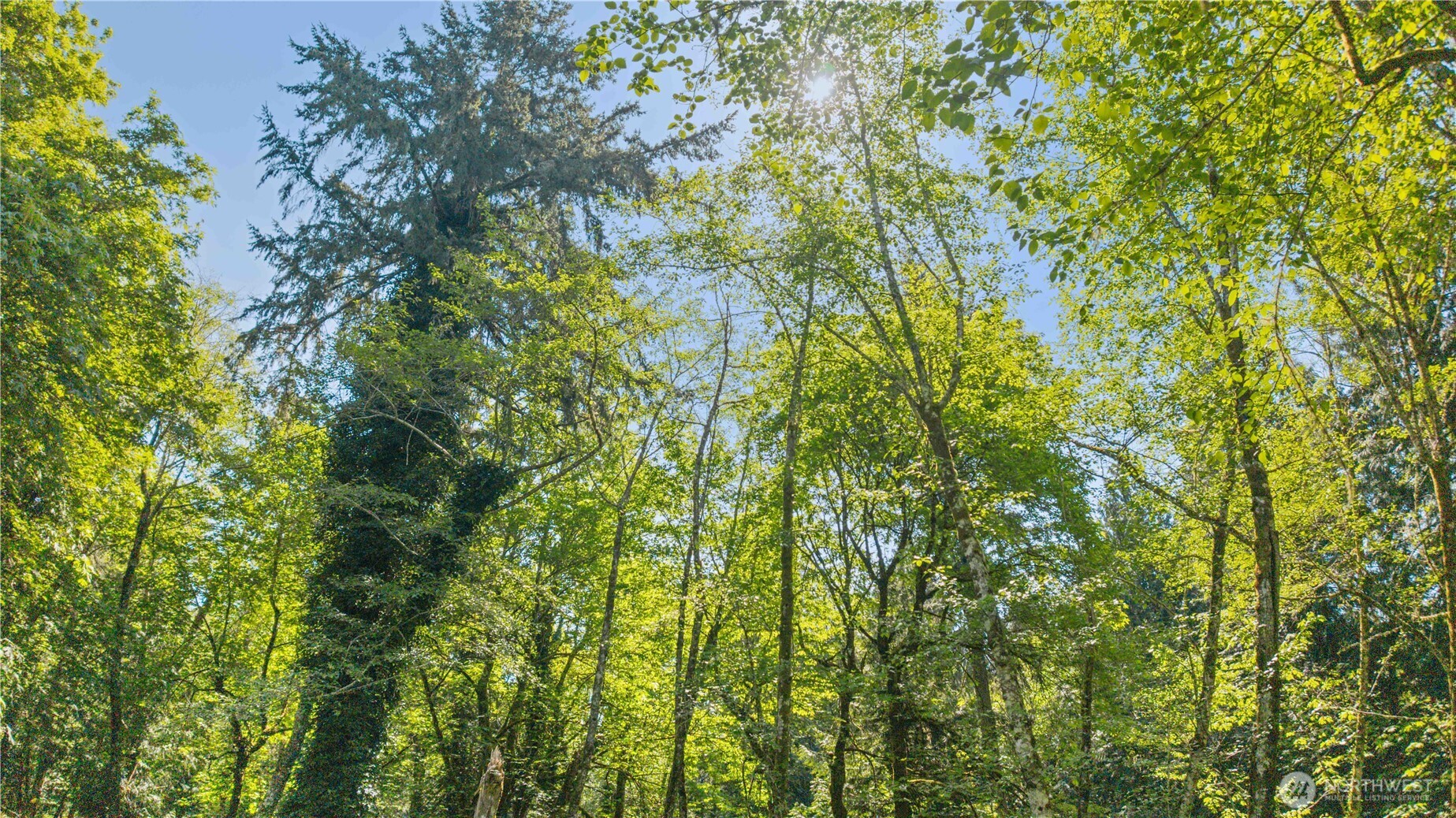 18606 72nd Street Ct SW, Longbranch, WA 98351