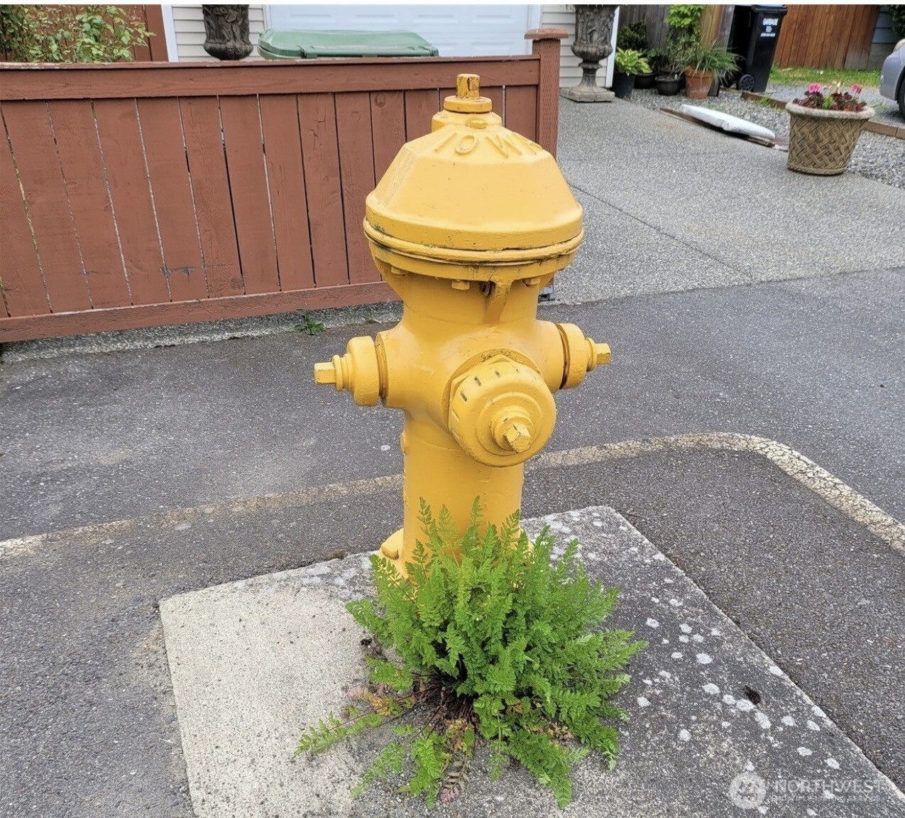 8824 3rd Ave S , Seattle, WA 98108