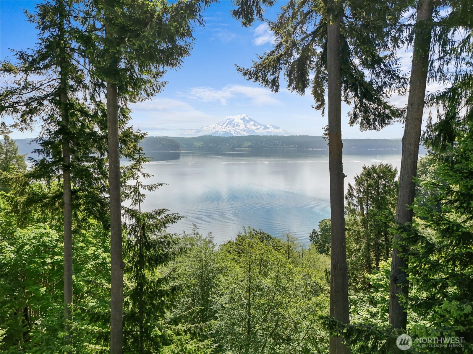 10823 Seaview Drive , Anderson Island, WA 98303