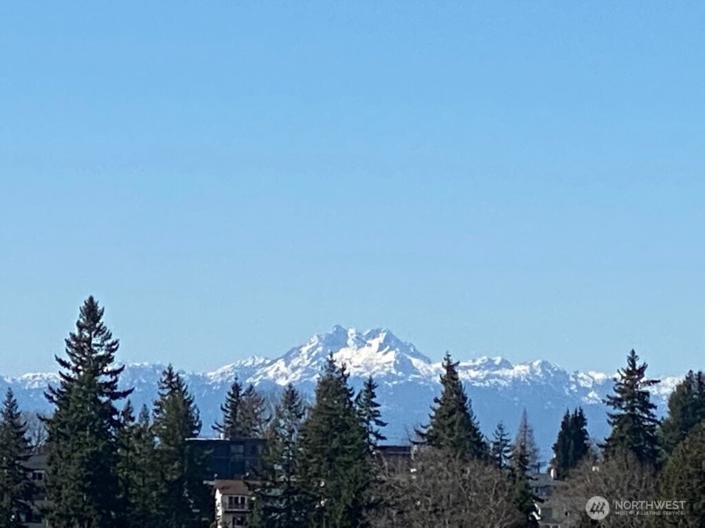 4409 California Avenue SW #503, Seattle, WA 98116
