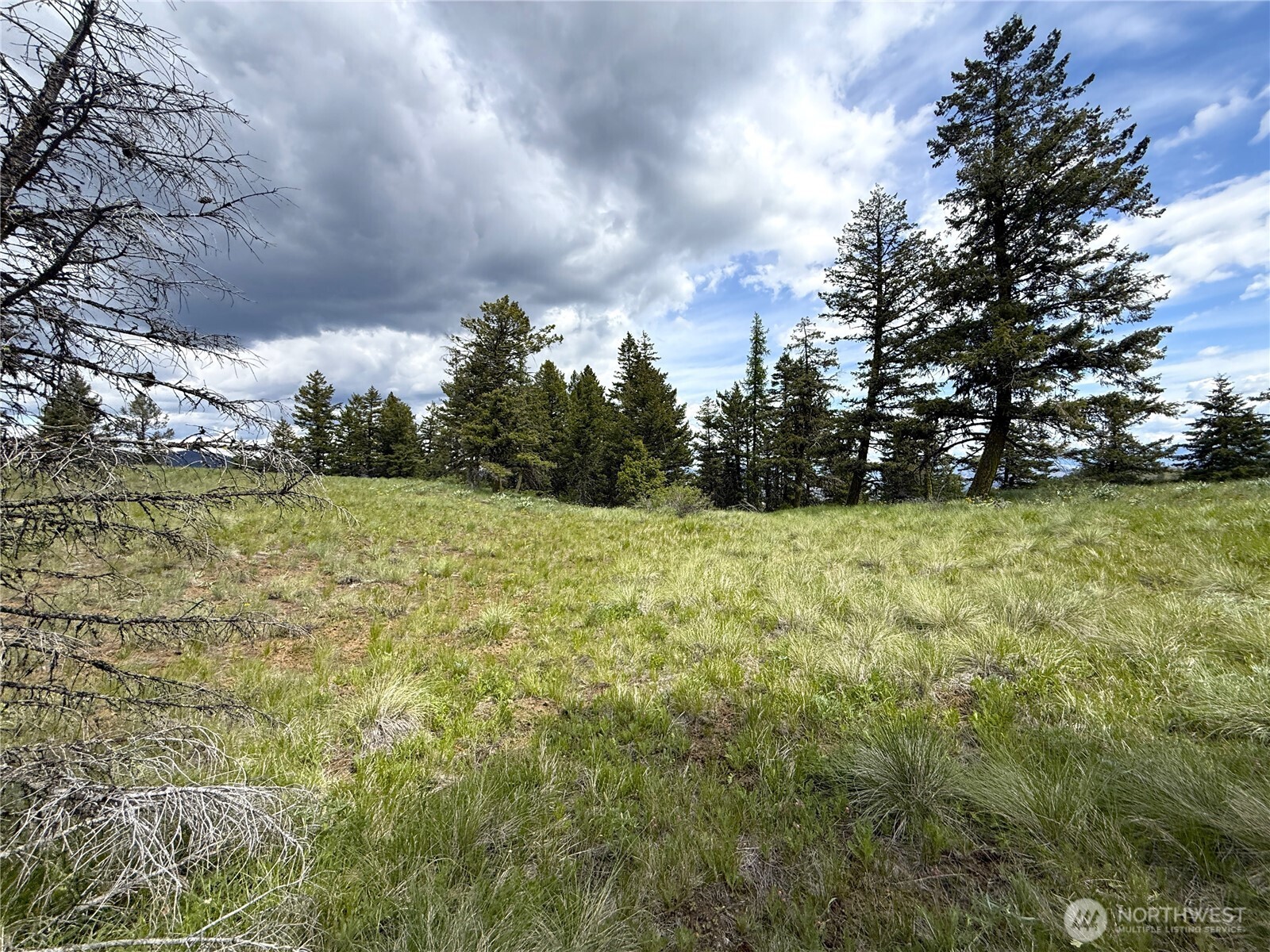 19 Union Ridge Spur Road , Republic, WA 99166