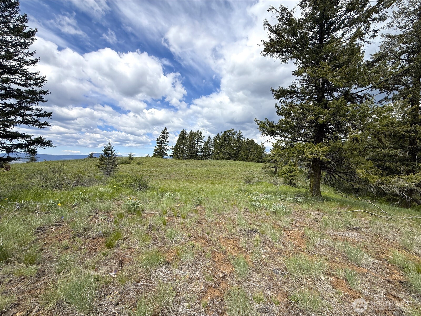 19 Union Ridge Spur Road , Republic, WA 99166