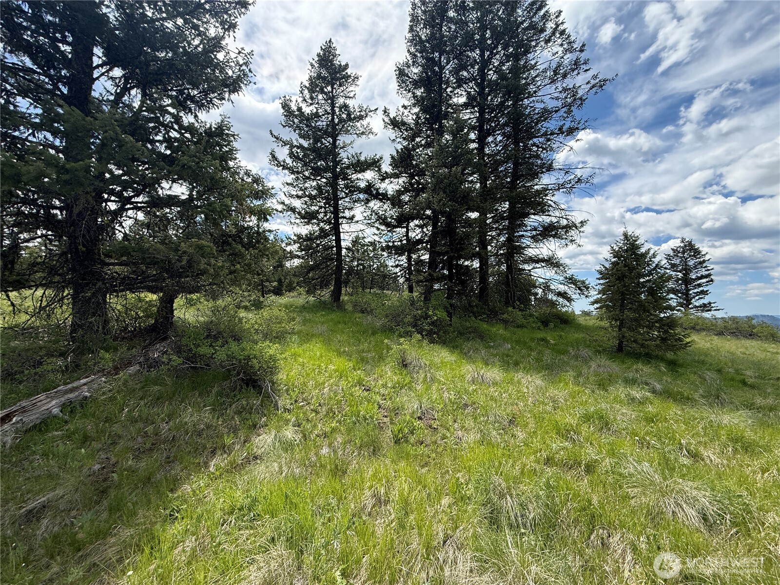 19 Union Ridge Spur Road , Republic, WA 99166