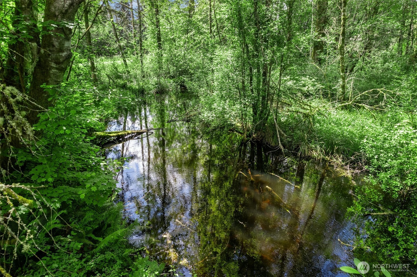 2214 Beaver Creek Drive SW, Olympia, WA 98512