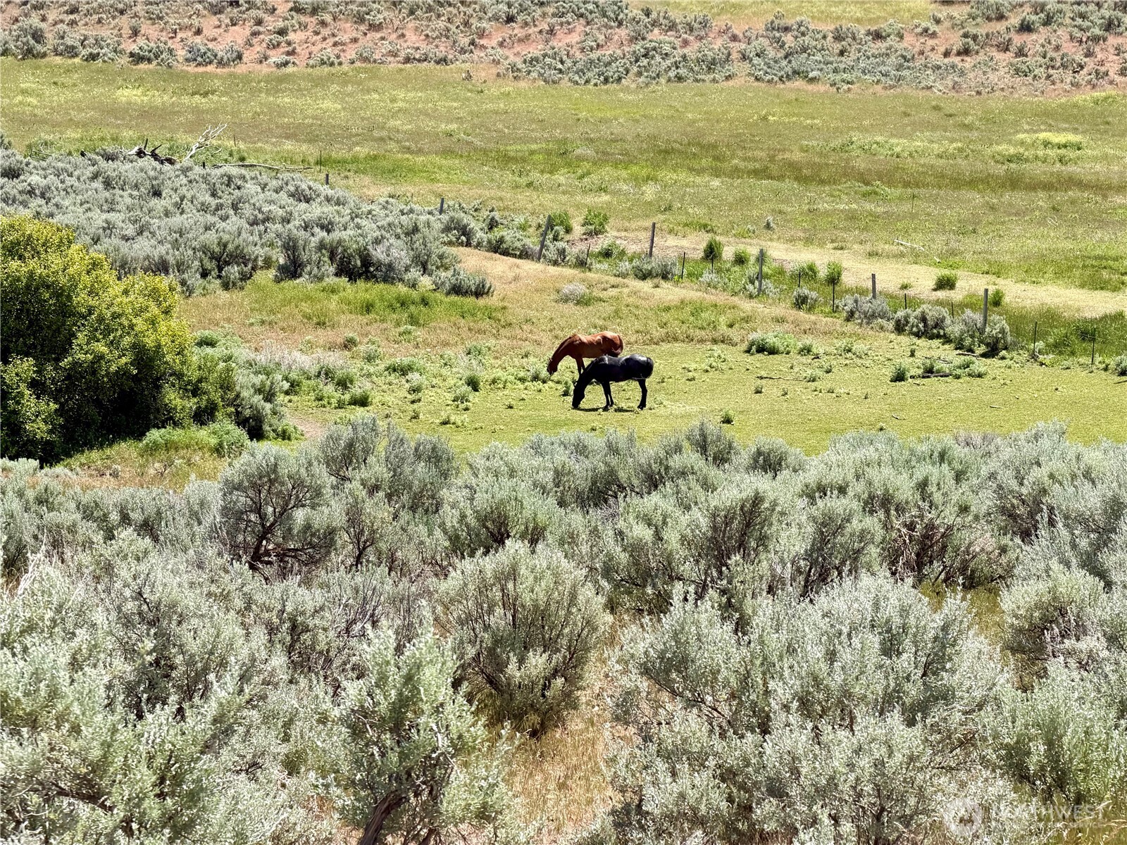 12 XXX Parke Creek Rd. , Ellensburg, WA 98926