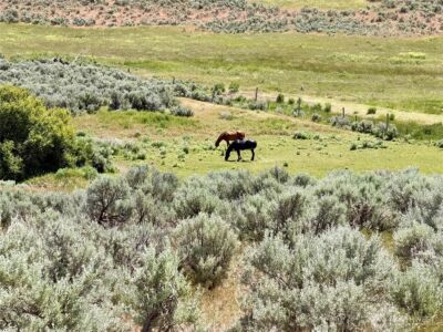 12 XXX Parke Creek Rd. , Ellensburg, WA 98926 - Photo 2