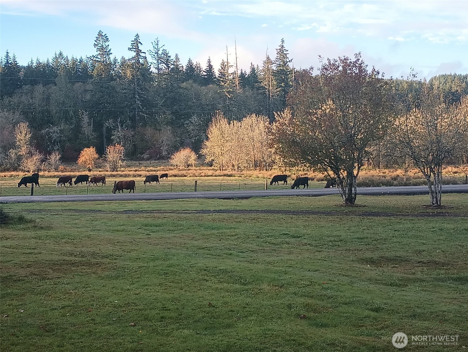 397 Bunker and 0 Bunker Road , Chehalis, WA 98532