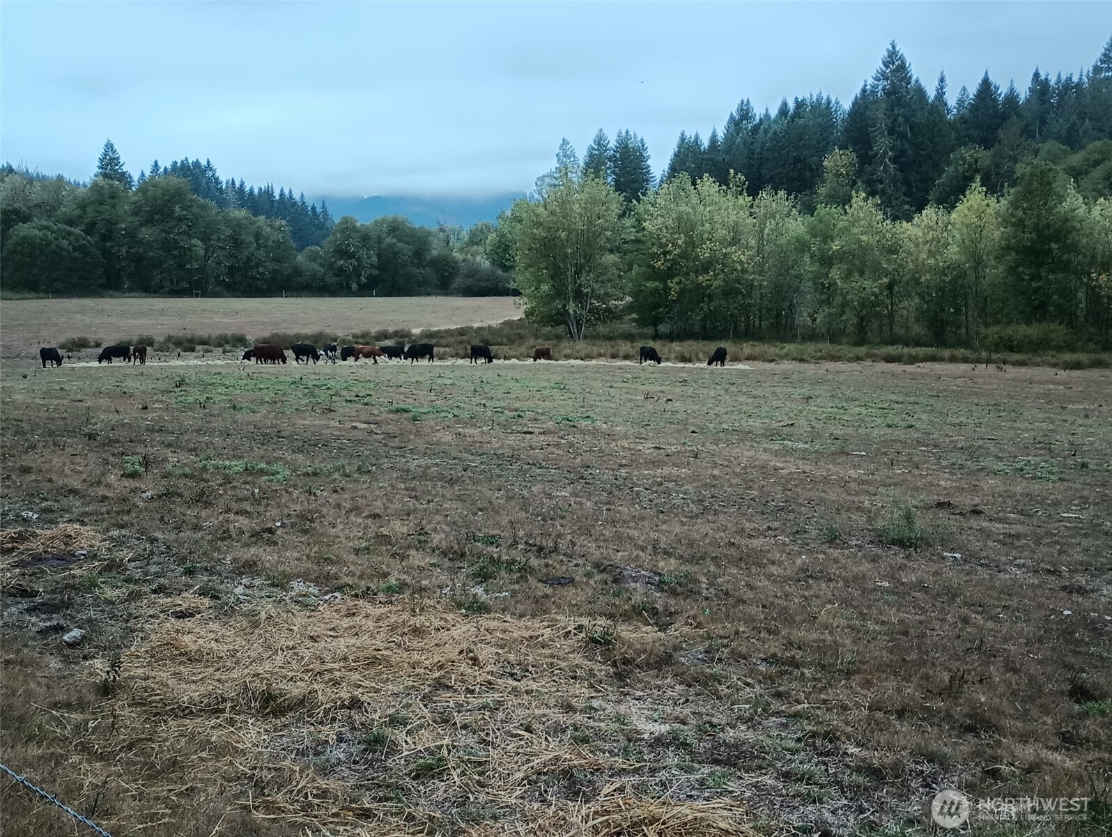 397 Bunker and 0 Bunker Road , Chehalis, WA 98532