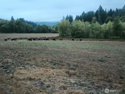397 Bunker and 0 Bunker Road , Chehalis, WA 98532 - Photo 12