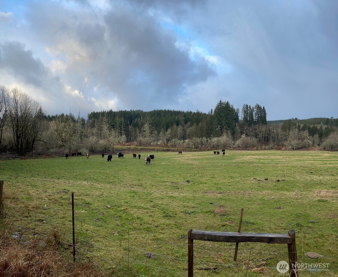 397 Bunker and 0 Bunker Road , Chehalis, WA 98532