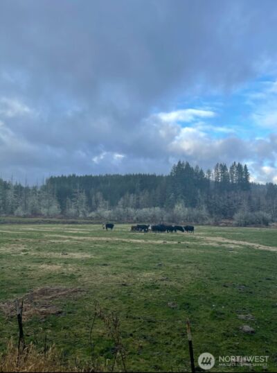 397 Bunker and 0 Bunker Road , Chehalis, WA 98532 - Photo 14