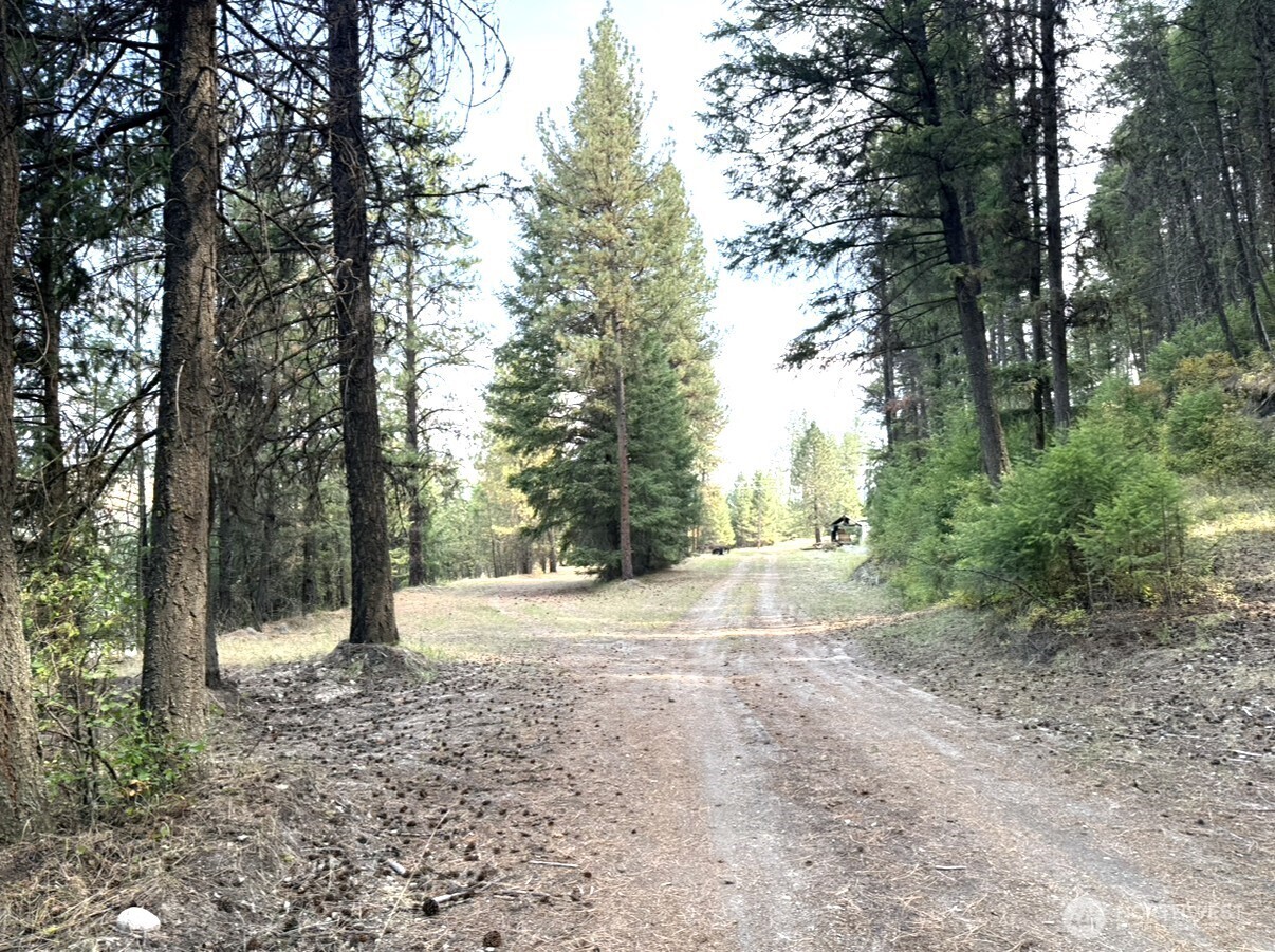 30543 Hwy 20 E, Republic, WA 99166
