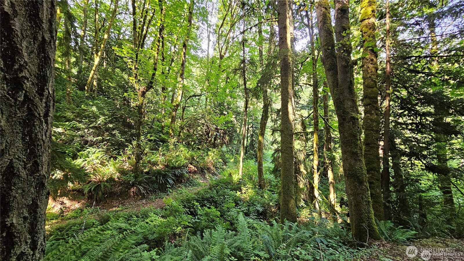 210 XX Pugh Road NE, Poulsbo, WA 98370