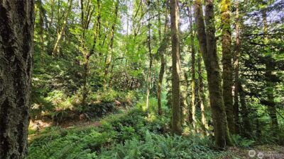 210 XX Pugh Road NE, Poulsbo, WA 98370 - Photo 11