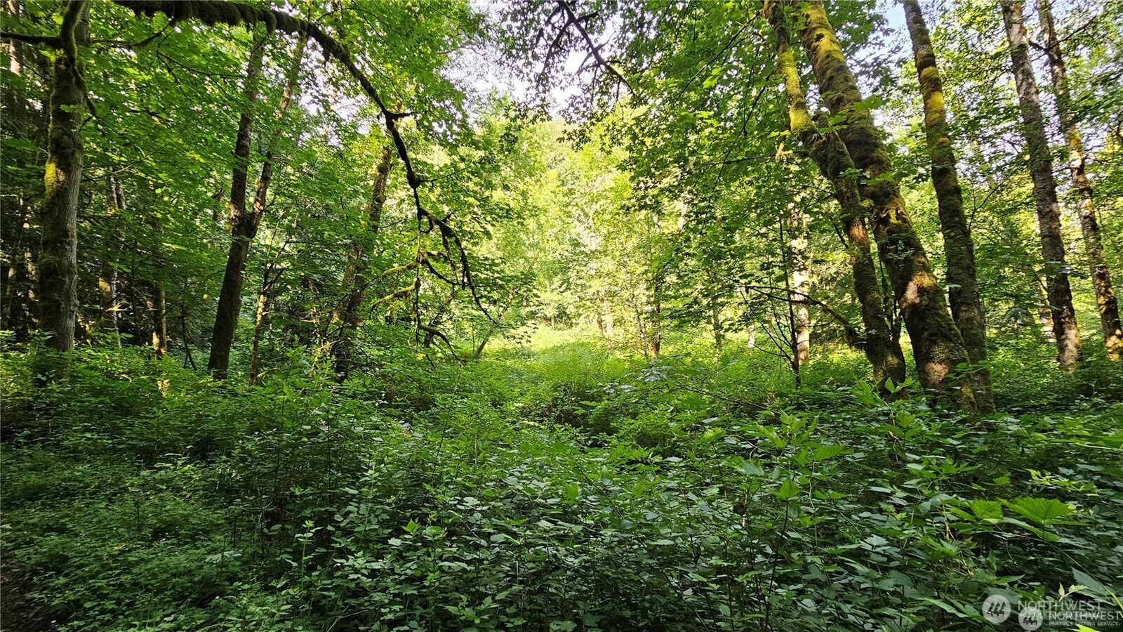 210 XX Pugh Road NE, Poulsbo, WA 98370