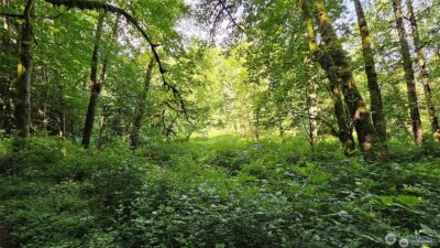 210 XX Pugh Road NE, Poulsbo, WA 98370 - Photo 13