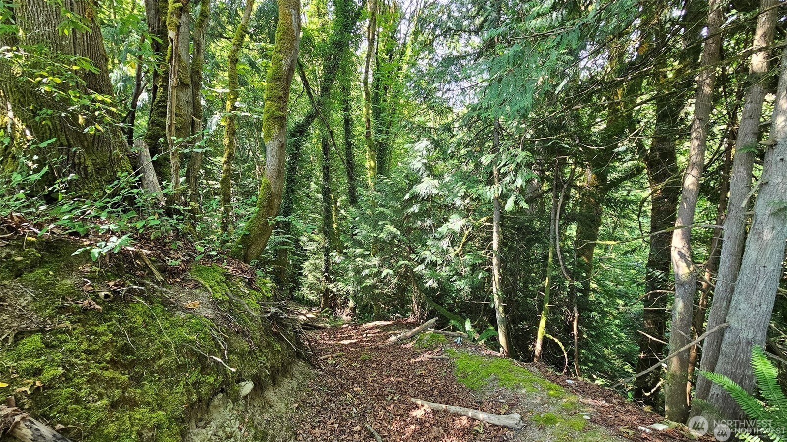 210 XX Pugh Road NE, Poulsbo, WA 98370