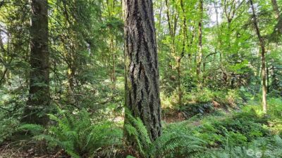 210 XX Pugh Road NE, Poulsbo, WA 98370 - Photo 20