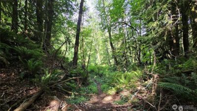 210 XX Pugh Road NE, Poulsbo, WA 98370 - Photo 21