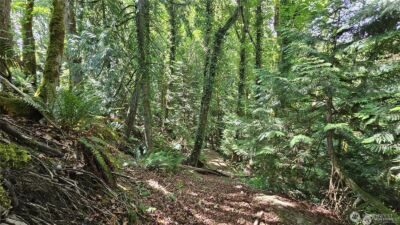 210 XX Pugh Road NE, Poulsbo, WA 98370 - Photo 28