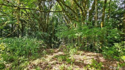 210 XX Pugh Road NE, Poulsbo, WA 98370 - Photo 30