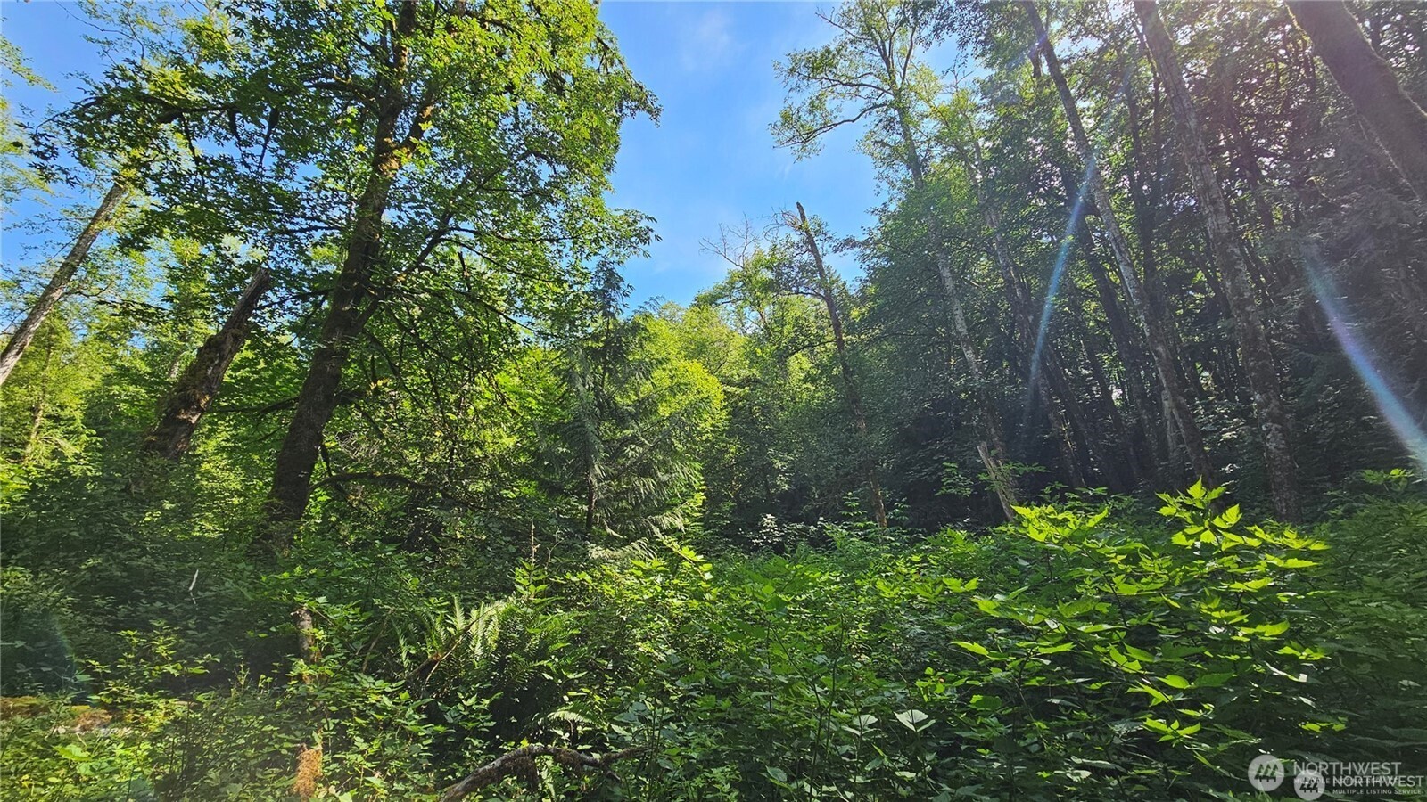 210 XX Pugh Road NE, Poulsbo, WA 98370