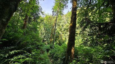 210 XX Pugh Road NE, Poulsbo, WA 98370 - Photo 10