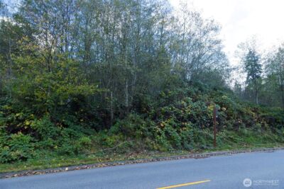 0 10th Avenue NE, Poulsbo, WA 98370 - Photo 1