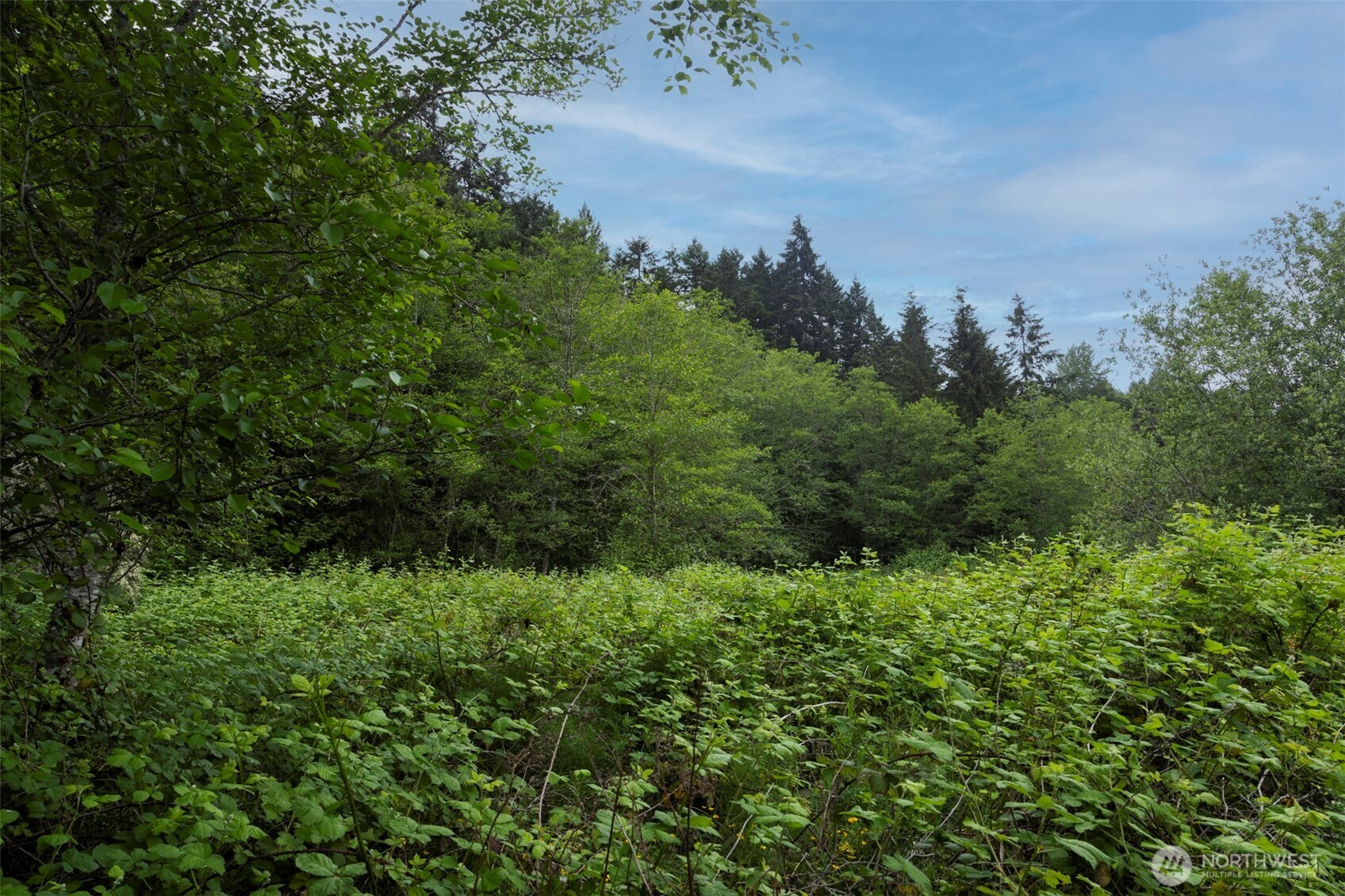 0 XXX 7th Avenue NE, Poulsbo, WA 98370